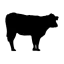 vaca.dk favicon