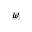 webslotcasino.com favicon