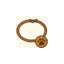 zampettesolidali.it favicon