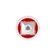 brainpulse.com favicon