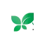 jardinbrico.com favicon