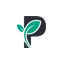 passiv.com favicon