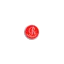 readynet.in favicon