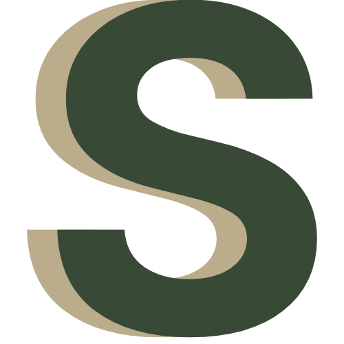 skytsystems.com favicon