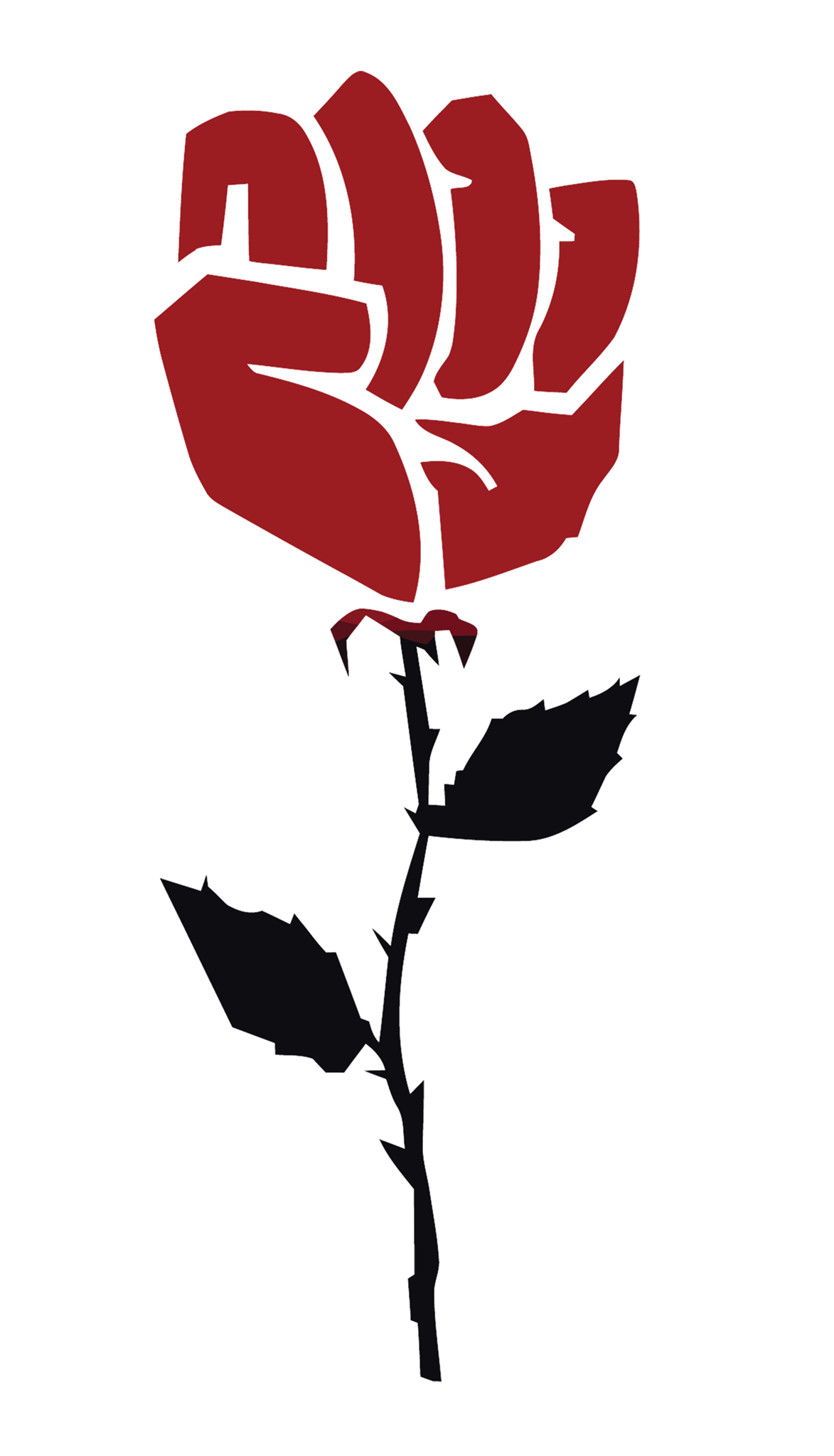 strongwomenstore.com favicon
