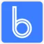 binarynewsnetwork.com favicon