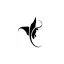 bintangkomodotours.com favicon
