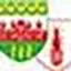 bordeaux-termites.fr favicon