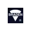 braden.com favicon