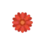 overseasflowerdelivery.com favicon