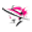 phyllal.com favicon