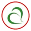 pinsami.it favicon