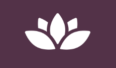 shaadisouk.com favicon