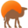 yourtourmorocco.com favicon