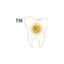 zellenedentalcare.com favicon