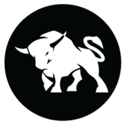 bearbulltraders.com favicon