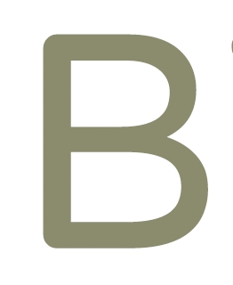 bnbverit.com favicon