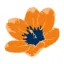 mydutchflowers.com favicon