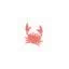 petitcrabe.com favicon
