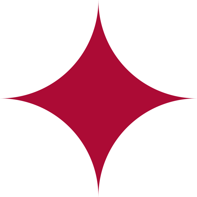 smartsystems.co.uk favicon