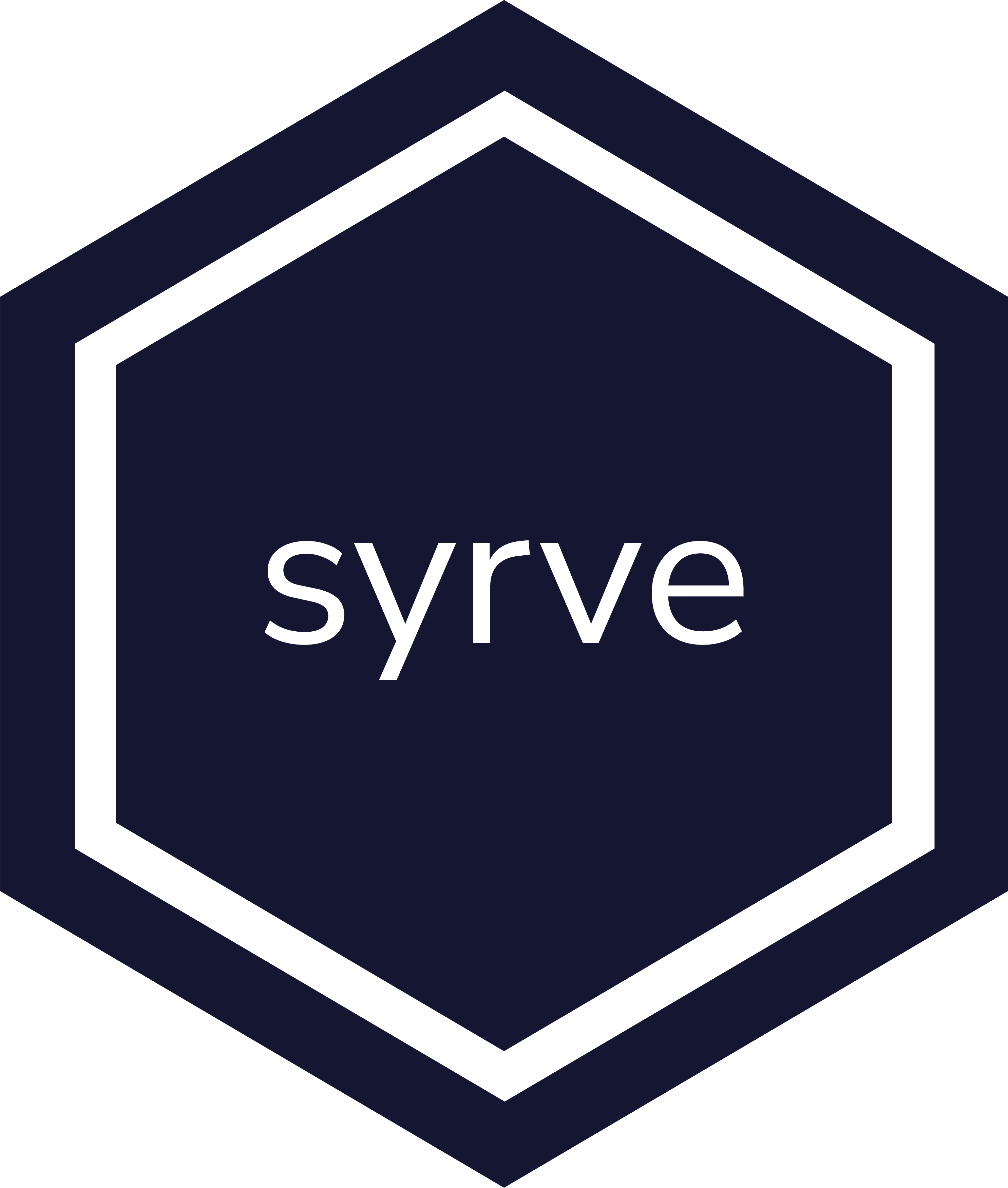 syrve.com favicon