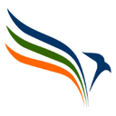Visafast favicon