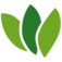 world-of-tea.ch favicon