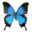 asiahouse24.de favicon