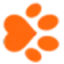 petinsurer.com favicon