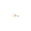protectorlex.es favicon