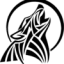 sundmedwulff.dk favicon