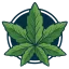 cbdiamond.fr favicon