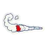 jayrolls.com favicon