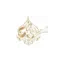 omandesertprivatecamp.com favicon