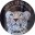 sallysturgessart.com favicon