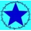 wildcowboy.com favicon