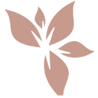 deserveaesthetics.co.uk favicon