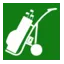 golftrolleyrepairs.co.uk favicon
