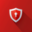 inbraakbeveiligingarnhem.com favicon
