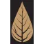 liquid-jade.co.uk favicon