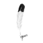 bastiankleincoaching.com favicon