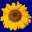 brightsidemanor.org.uk favicon
