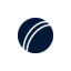 cricketbettingadvice.com favicon
