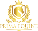 primaequine.com favicon