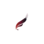 redfeathersolutions.co.uk favicon
