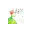 terranova.ie favicon