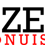 zeronuisible.be favicon