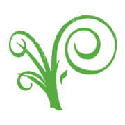 abrahamshalalmeat.com favicon