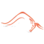 brasa.dk favicon