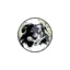 gesunder-hund.jetzt favicon